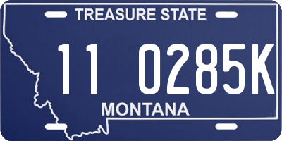 MT license plate 110285K