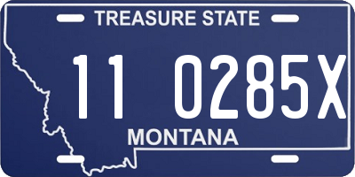 MT license plate 110285X