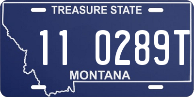 MT license plate 110289T