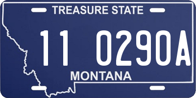 MT license plate 110290A