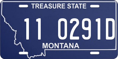 MT license plate 110291D