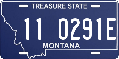 MT license plate 110291E