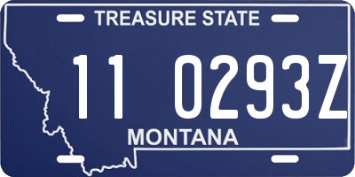 MT license plate 110293Z