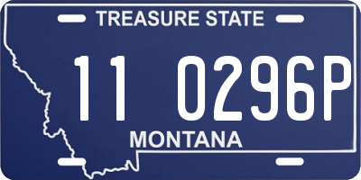 MT license plate 110296P