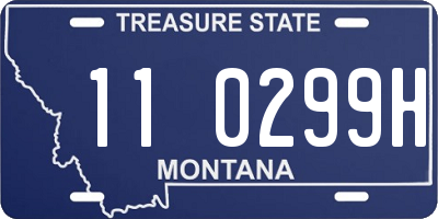 MT license plate 110299H