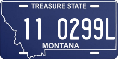 MT license plate 110299L