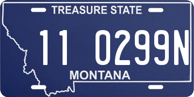 MT license plate 110299N