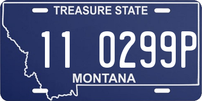MT license plate 110299P