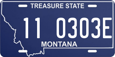 MT license plate 110303E