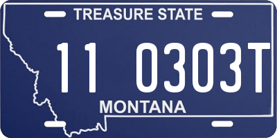 MT license plate 110303T