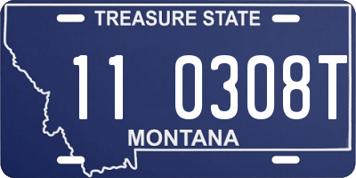 MT license plate 110308T