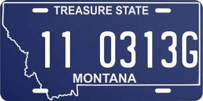 MT license plate 110313G