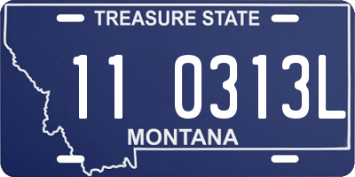 MT license plate 110313L