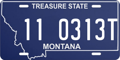 MT license plate 110313T