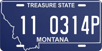 MT license plate 110314P