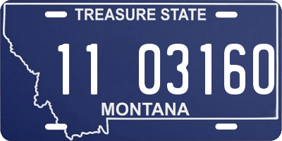 MT license plate 110316O