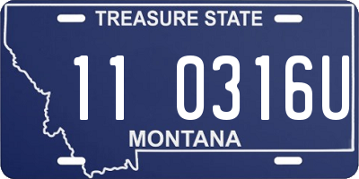 MT license plate 110316U
