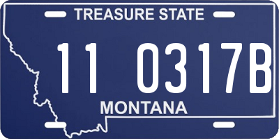 MT license plate 110317B