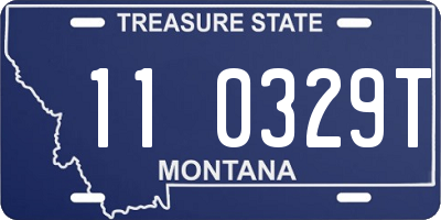 MT license plate 110329T