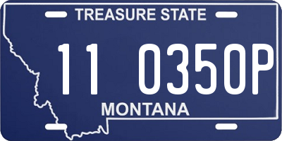 MT license plate 110350P