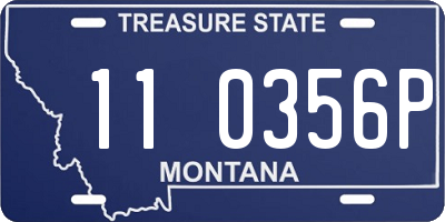 MT license plate 110356P