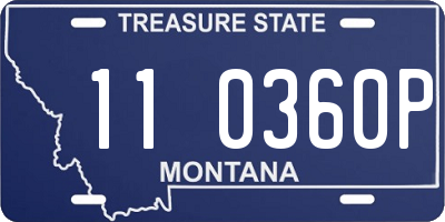MT license plate 110360P