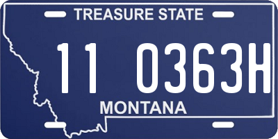 MT license plate 110363H