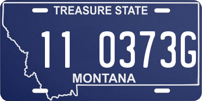 MT license plate 110373G