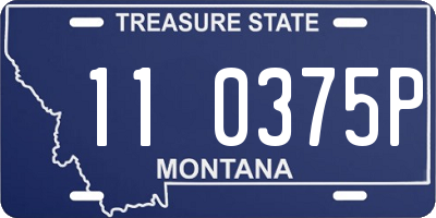 MT license plate 110375P