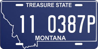 MT license plate 110387P