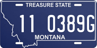 MT license plate 110389G