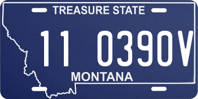 MT license plate 110390V