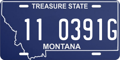 MT license plate 110391G