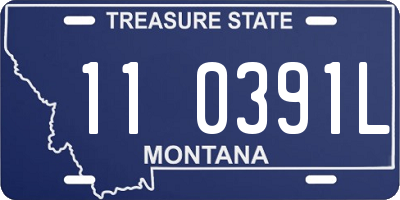 MT license plate 110391L