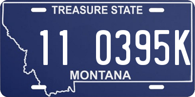 MT license plate 110395K