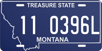 MT license plate 110396L