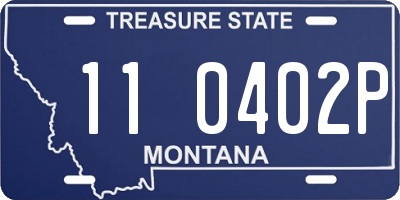 MT license plate 110402P