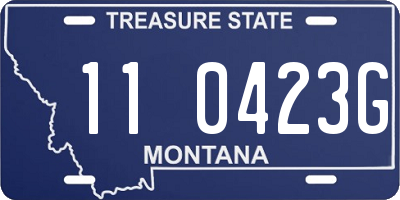 MT license plate 110423G