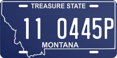 MT license plate 110445P