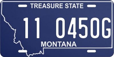 MT license plate 110450G