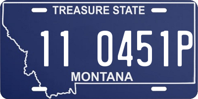 MT license plate 110451P