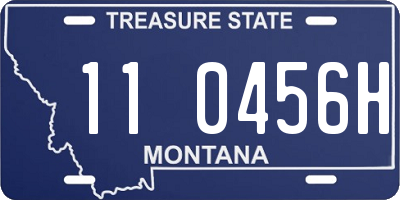 MT license plate 110456H