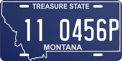 MT license plate 110456P