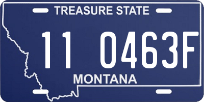 MT license plate 110463F