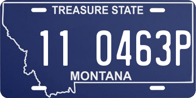 MT license plate 110463P