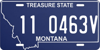 MT license plate 110463V