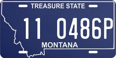 MT license plate 110486P
