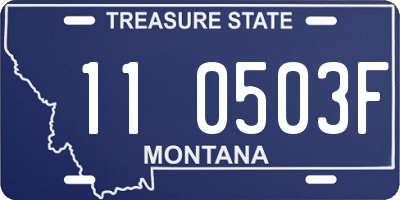 MT license plate 110503F