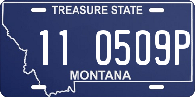 MT license plate 110509P