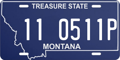 MT license plate 110511P